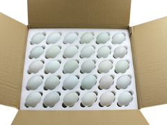 鴨蛋托包裝—鴨蛋托珍珠棉包裝材料